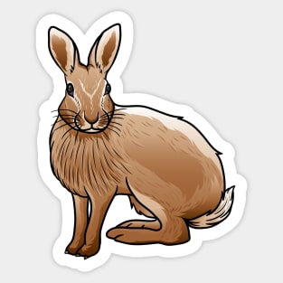 Cottontail Rabbit Sticker